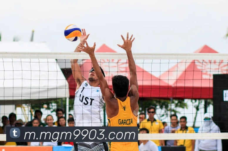 美高梅mgmAPP 封面图